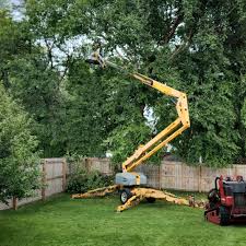Best Leaf Removal  in New Johnsonville, TN