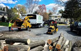 Lawn Maintenance Plans in New Johnsonville, TN